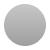 ICASE Silver